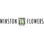 Calyx Flowers Promo Code January 2017 Get 10 To 20 Off W 41