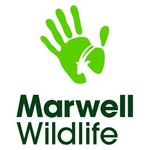 marwell.org.uk coupons or promo codes