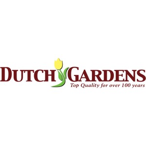 kvan bourgondien coupon