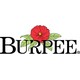 Burpee