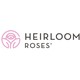 Heirloom Roses