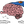 TruBrain