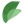 Purearth