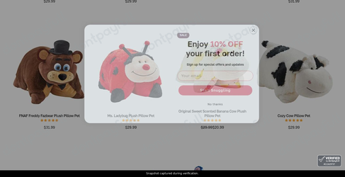 Snapshot of Pillow Pets promo: 'Save up to 30% on Gifts for Teens' - captured during verification by DontPayFull on 01-Jun-2026.