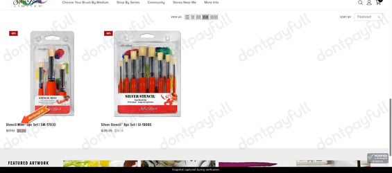 Snapshot of Silver Brush promo: 'Up to 60% Off Silver Stencil Brush Sets' - captured during verification by DontPayFull on 01-Oct-2026.